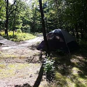 Secluded Wildlife Paradise