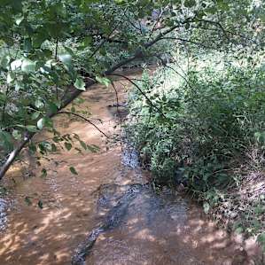 Secluded Wildlife Paradise