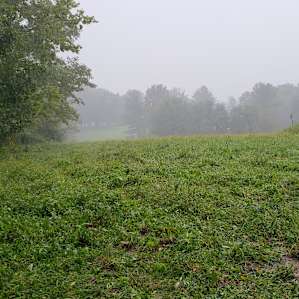 Rain coming up the hill.