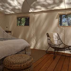 Shelterwood- Acacia Tent