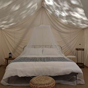 Shelterwood- Acacia Tent