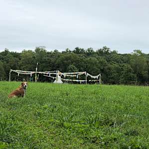 Hay House Farm