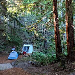 Site 2
