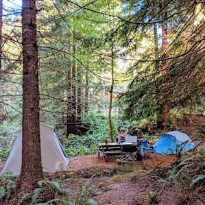 Site 2