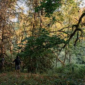 Coming from Florida, we were pretty constantly in awe of all the vegetation.