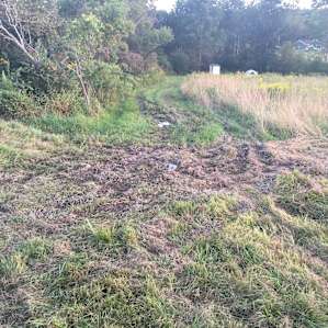 The wet/muddy lane that you have to cross to get to the first camping area, or follow straight back to get to the second camping area (the small white shed houses the composting toilet).