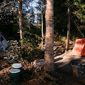 An overall view of the campsite. Some flat land, trees for shade, not much else is needed. The provided trash and recycling is a pleasant bonus.
