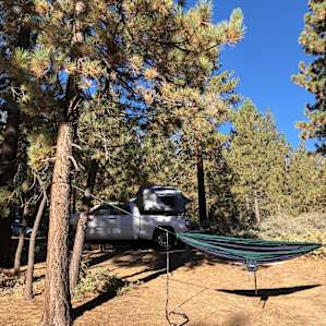Morning view of our hammock and tent.
