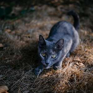 Adorable.