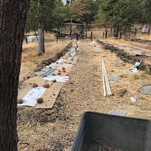 Reclaming the research site garden