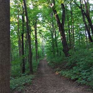Beautiful little trail leading from the backside of the campsite, up and around to John's workshop at the front of the property, where he has a nice little outdoor sink, perfect for refilling our water jugs. Thank you, John!