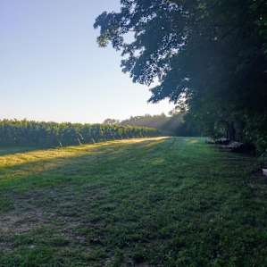 Morning sunrises over the vineyard are just breathtaking, and we enjoyed quiet walks around the perimeter where we got to see deer grazing every single morning of our stay!