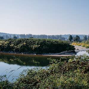 A blackberry laden river a short walk away.
