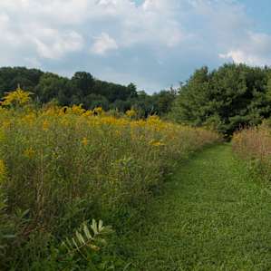 Take a hike through the field and woods or in front of the house.