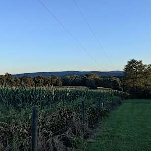 Edge of the property