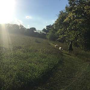 Camping on the Farm