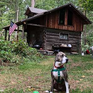 Vintage Cabin in 10 Acre Forest