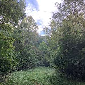 R&R Ridge