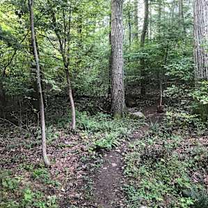 Ironwood Trail & Private Campsite