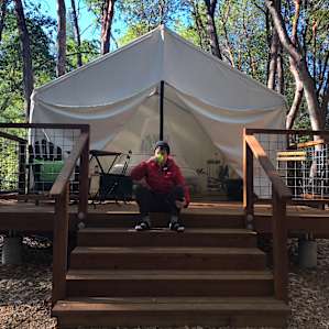 Shelterwood- Juniper Ridge 3