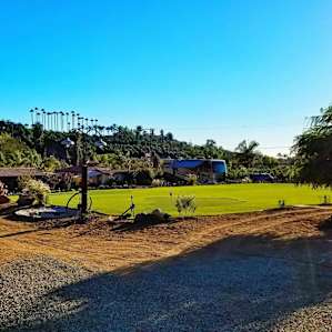 The green!