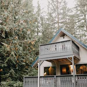 cabin forest lodging