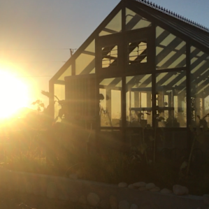 This greenhouse is one of the most magical places I have ever been lucky enough to see!!!
