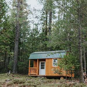 cabin forest lodging