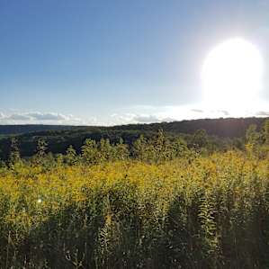 Wandering Acres