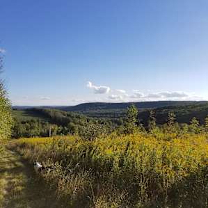 Wandering Acres