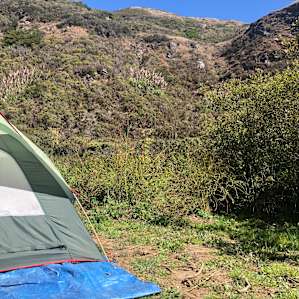 View of the South side of the campsite.