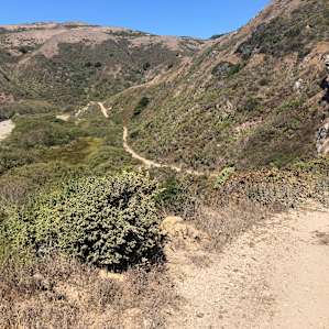 View of the trail leading to the campsite take from where you park your car