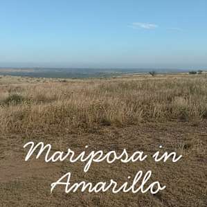 Sunset glamping at Mariposa