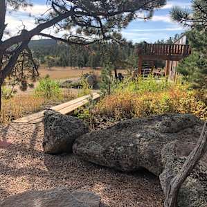 LeCook Homestead Cabin