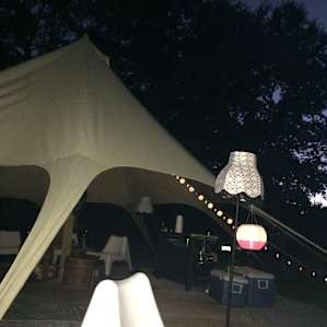 Heated Yurt in the Forest (dogs ok)