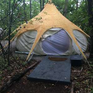 Heated Yurt in the Forest (dogs ok)