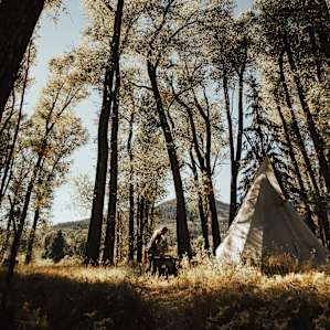Finding a good tent spot under the shade of the trees