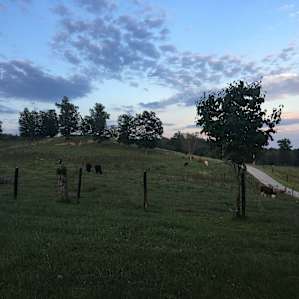 Majestic Views