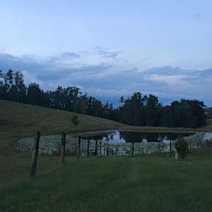 Majestic Views