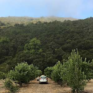 Beachside Farm Campground
