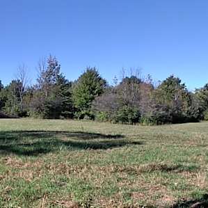 Large open field on an adacent property