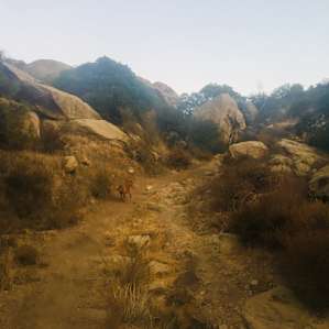 Up the trail!