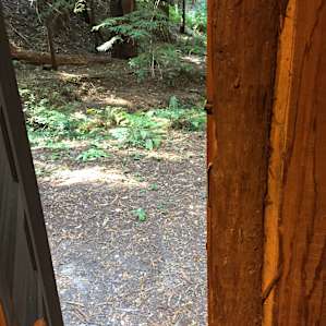 Looking out of a door from the cabin