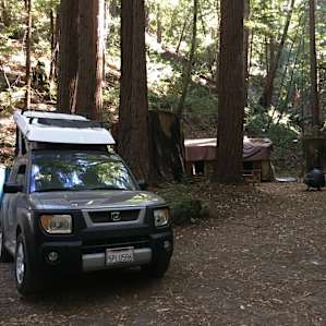 Xenon, the Honda Element. The Penthouse awaits.