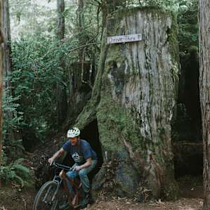 Jesse - the bike guru on the property, took me on a tour of the trails he built in the forest - check out the Ride-thru tree he made!!