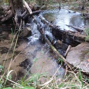 The pleasant water fall next to our camp site.