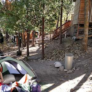 Madcap Camping