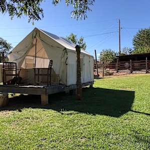 Awesome luxury glamping tents on the property