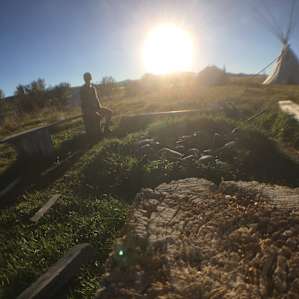 Sheepherder's Wagon