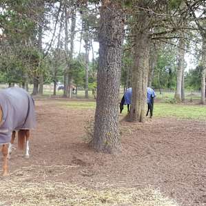 Healing Hearts Ranch RV Site